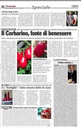 Speciale Corbarino - Le Cronache